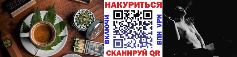 где купить   Асбест  Canna-Cookies конопля 