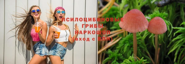 прущая мука Аркадак