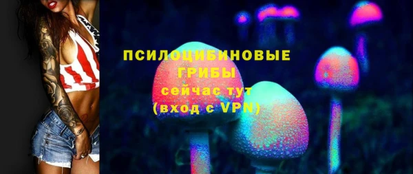 сатива Арсеньев