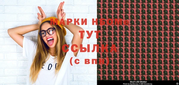apvp Снежинск