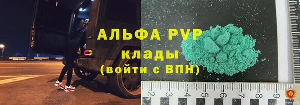 сатива Арсеньев