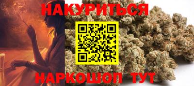 Альфа ПВП Аргун