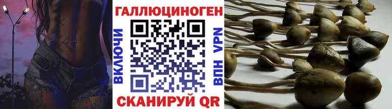 Псилоцибиновые грибы Psilocybe закладка Асбест